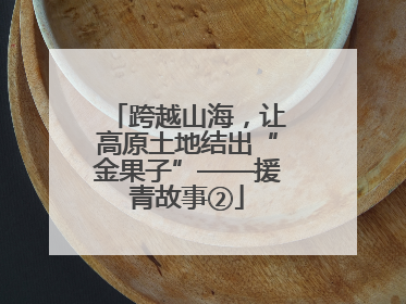 跨越山海，让高原土地结出“金果子”——援青故事②