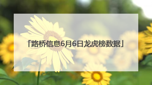 路桥信息6月6日龙虎榜数据