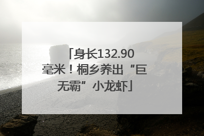 身长132.90毫米！桐乡养出“巨无霸”小龙虾