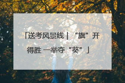 送考风景线｜“旗”开得胜 一举夺“葵”
