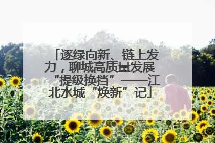 逐绿向新、链上发力，聊城高质量发展“提级换挡”——江北水城“焕新”记