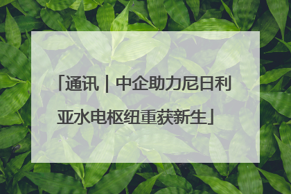 通讯｜中企助力尼日利亚水电枢纽重获新生