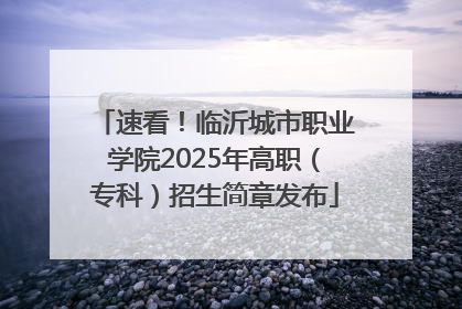速看！临沂城市职业学院2025年高职（专科）招生简章发布