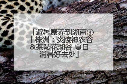 避暑康养到湖南③丨株洲：炎陵神农谷&茶陵花湖谷 夏日消暑好去处