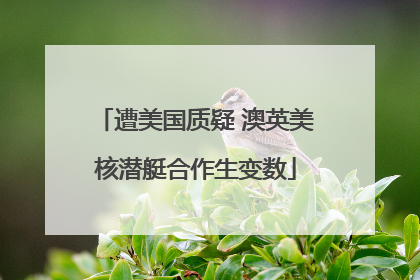 遭美国质疑 澳英美核潜艇合作生变数