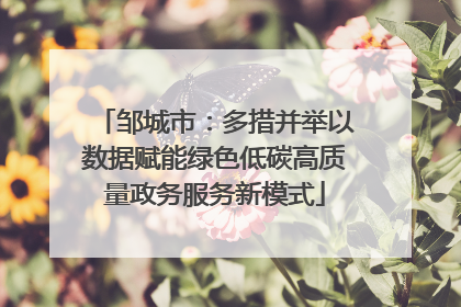 邹城市：多措并举以数据赋能绿色低碳高质量政务服务新模式
