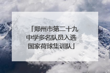 郑州市第二十九中学多名队员入选国家荷球集训队