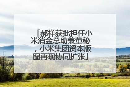 郝祥获批担任小米消金总助兼董秘，小米集团资本版图再现协同扩张