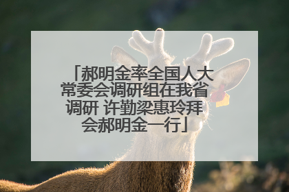 郝明金率全国人大常委会调研组在我省调研 许勤梁惠玲拜会郝明金一行