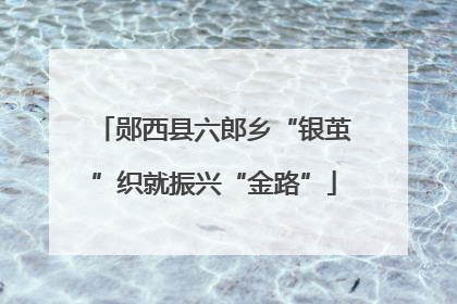 郧西县六郎乡“银茧”织就振兴“金路”