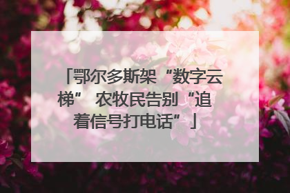 鄂尔多斯架“数字云梯” 农牧民告别“追着信号打电话”
