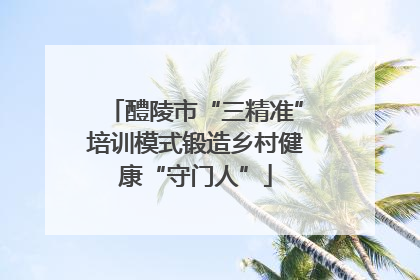 醴陵市“三精准”培训模式锻造乡村健康“守门人”