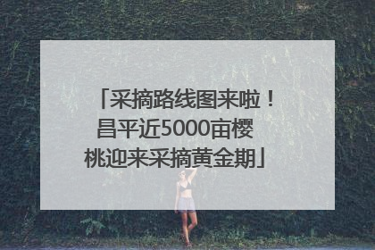 采摘路线图来啦！昌平近5000亩樱桃迎来采摘黄金期