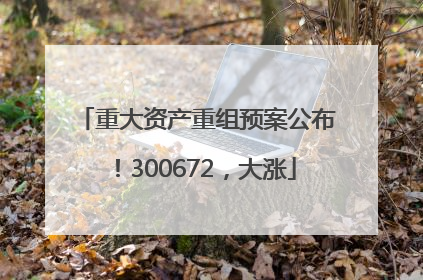 重大资产重组预案公布！300672，大涨