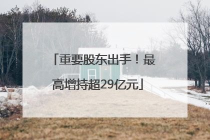 重要股东出手！最高增持超29亿元