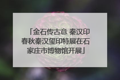 金石传古意 秦汉印春秋秦汉玺印特展在石家庄市博物馆开展