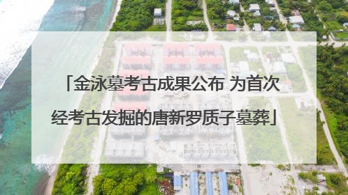 金泳墓考古成果公布 为首次经考古发掘的唐新罗质子墓葬