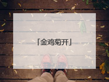 金鸡菊开