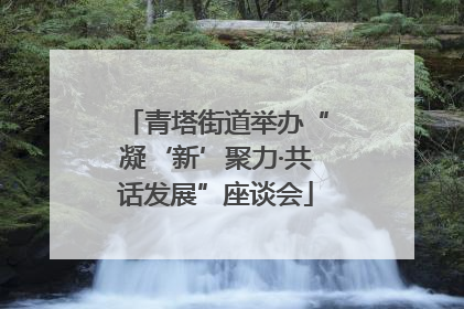 青塔街道举办“凝‘新’聚力·共话发展”座谈会