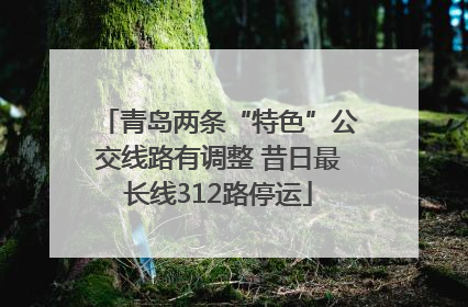 青岛两条“特色”公交线路有调整 昔日最长线312路停运