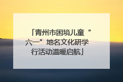 青州市困境儿童“六一”地名文化研学行活动温暖启航