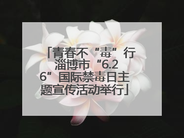 青春不“毒”行 淄博市“6.26”国际禁毒日主题宣传活动举行