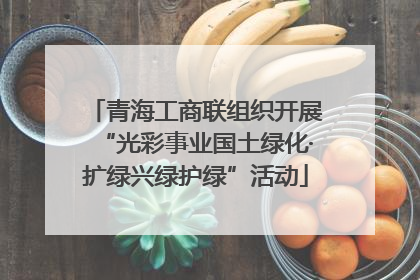 青海工商联组织开展“光彩事业国土绿化·扩绿兴绿护绿”活动