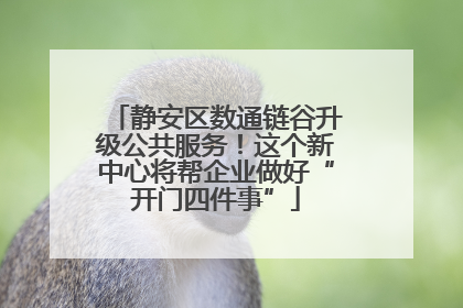 静安区数通链谷升级公共服务！这个新中心将帮企业做好“开门四件事”