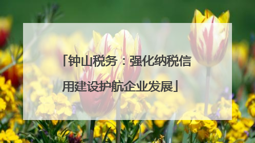钟山税务：强化纳税信用建设护航企业发展