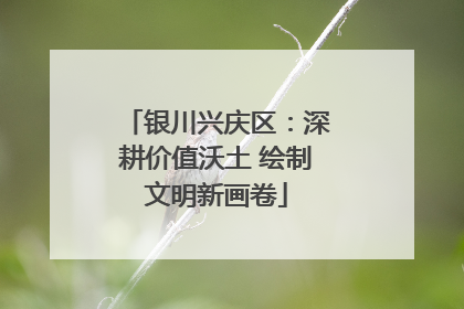 银川兴庆区：深耕价值沃土 绘制文明新画卷