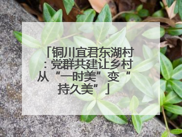 铜川宜君东湖村：党群共建让乡村从“一时美”变“持久美”