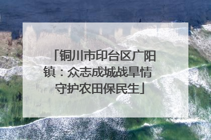 铜川市印台区广阳镇：众志成城战旱情 守护农田保民生