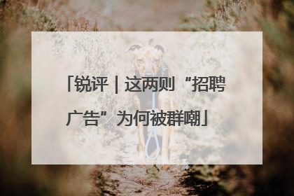 锐评｜这两则“招聘广告”为何被群嘲