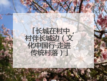 长城在村中，村伴长城边（文化中国行·走进传统村落）