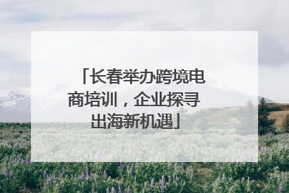 长春举办跨境电商培训，企业探寻出海新机遇