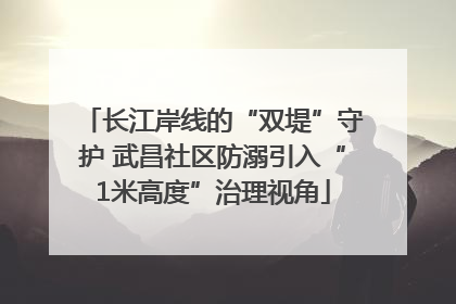 长江岸线的“双堤”守护 武昌社区防溺引入“1米高度”治理视角