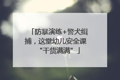 防暴演练+警犬缉捕，这堂幼儿安全课“干货满满”