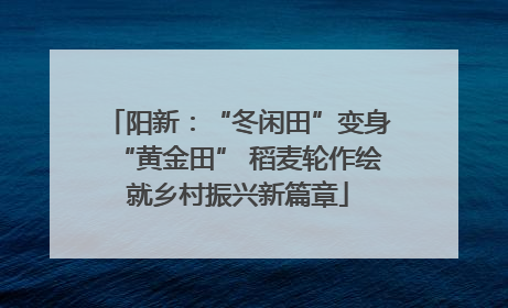 阳新：“冬闲田”变身“黄金田” 稻麦轮作绘就乡村振兴新篇章