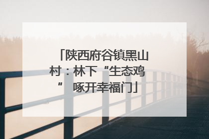 陕西府谷镇黑山村：林下“生态鸡” 啄开幸福门