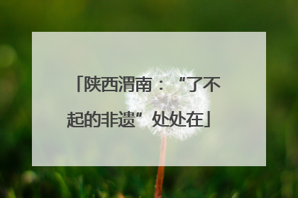 陕西渭南：“了不起的非遗”处处在