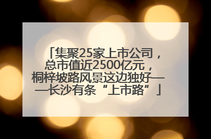 集聚25家上市公司，总市值近2500亿元，桐梓坡路风景这边独好——长沙有条“上市路”