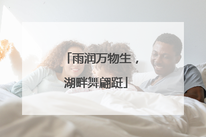 雨润万物生，湖畔舞翩跹