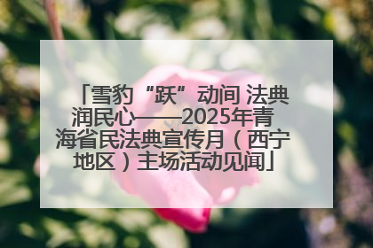 雪豹“跃”动间 法典润民心——2025年青海省民法典宣传月(西宁地区)主场活动见闻