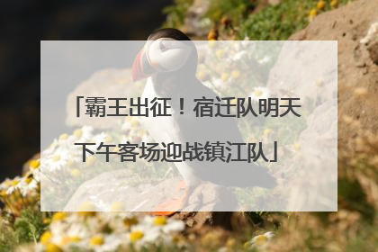霸王出征！宿迁队明天下午客场迎战镇江队