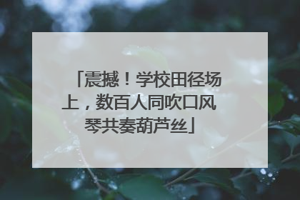 震撼！学校田径场上，数百人同吹口风琴共奏葫芦丝