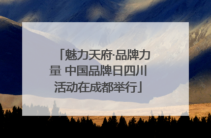 魅力天府·品牌力量 中国品牌日四川活动在成都举行