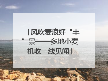 风吹麦浪好“丰”景——多地小麦机收一线见闻