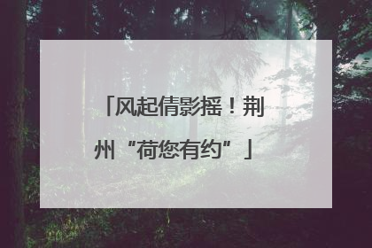 风起倩影摇！荆州“荷您有约”