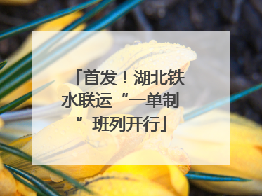 首发！湖北铁水联运“一单制”班列开行