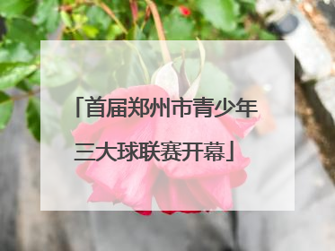 首届郑州市青少年三大球联赛开幕